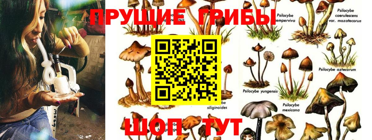 Галлюциногенные грибы Psilocybe  Вход с VPN  Псилоцибиновые грибы GOLDEN TEACHER  Воркута 