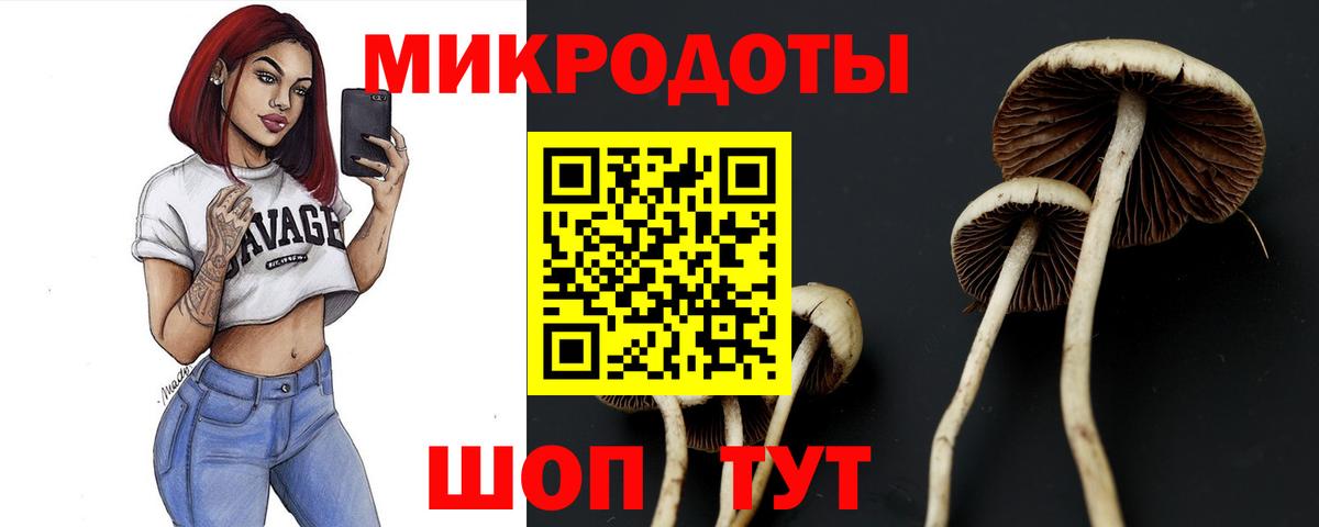 Псилоцибиновые грибы Psilocybe Воркута