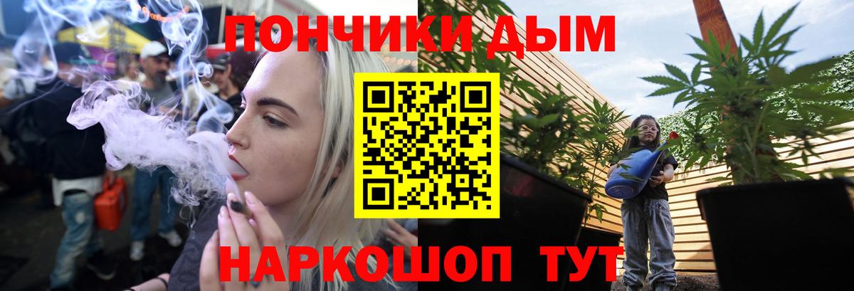 Бошки Шишки планчик  Бошки марихуана индика  Вход с VPN  Воркута  Бошки марихуана конопля  Конопля семена 